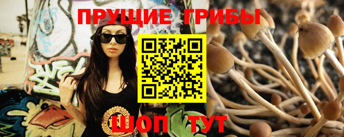 Галлюциногенные грибы прущие грибы  Вход с VPN  Гудермес 